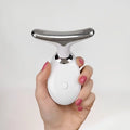 Sculpteur de Visage